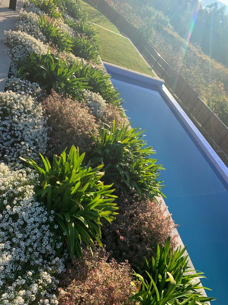 Diseño de jardines A Coruña