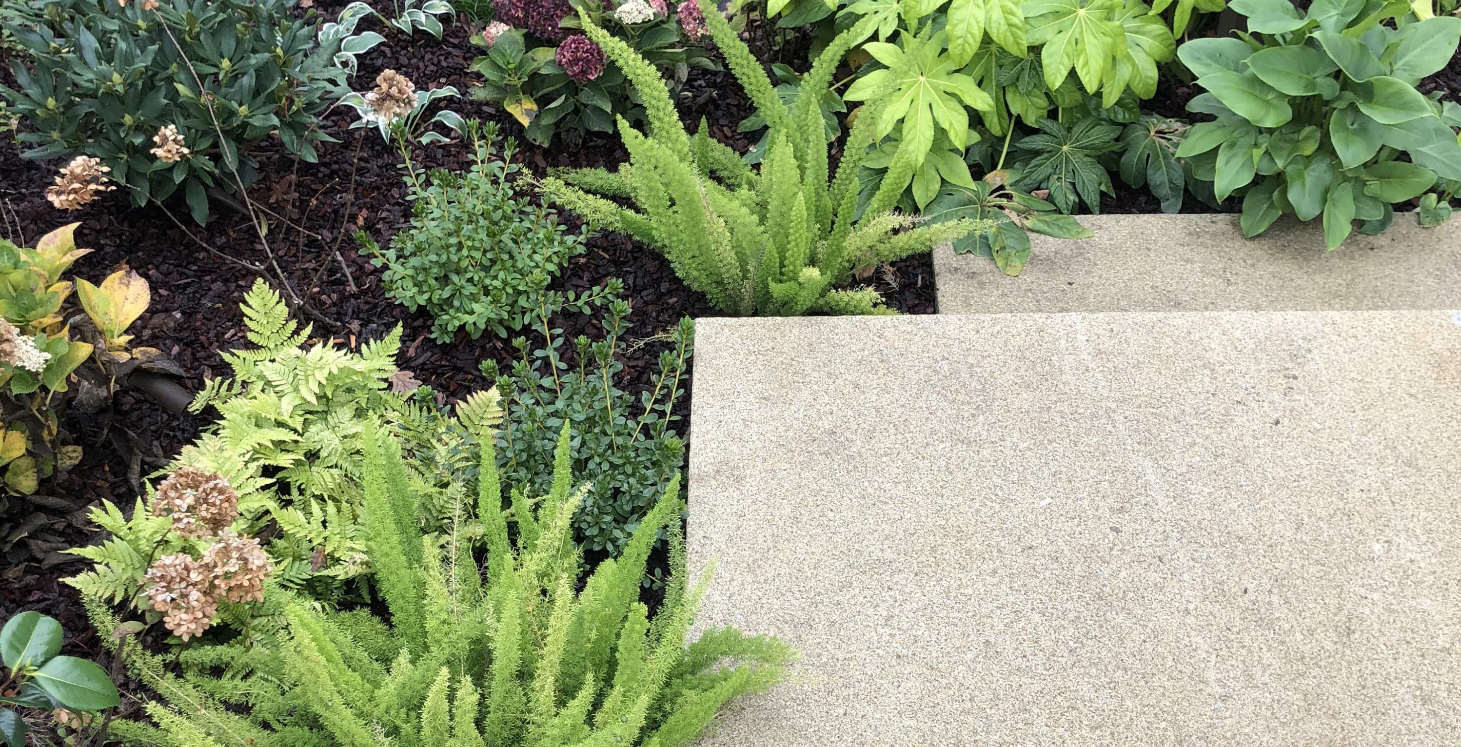 Asesoramiento paisajista