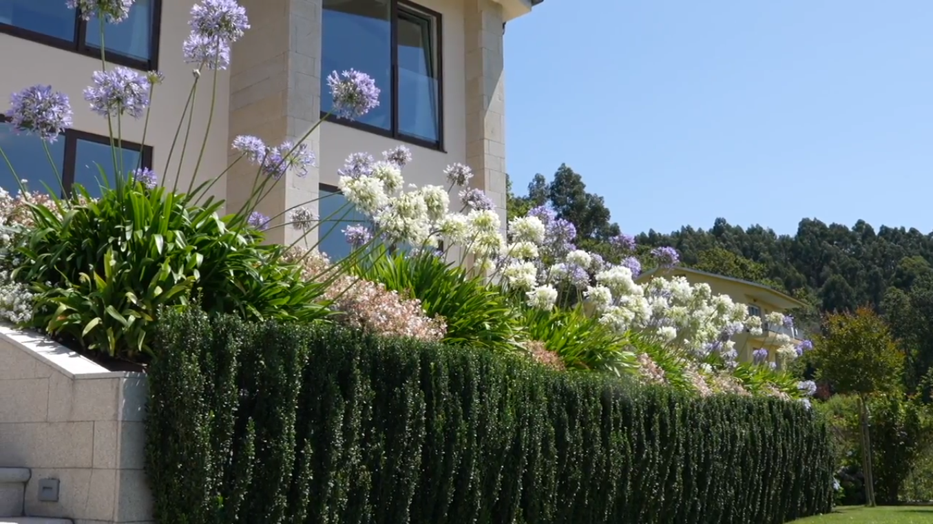 Presupuesto para Paisajismo en Galicia